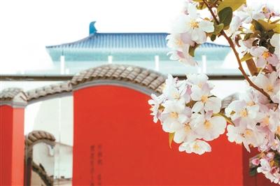 青舞台｜《只有红楼梦》文旅演艺不只是旅游附属品