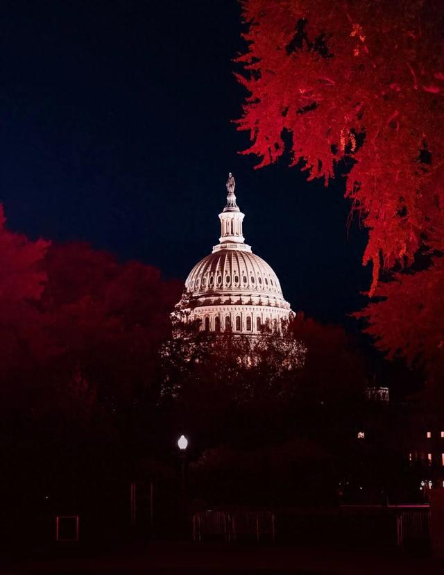 《纽约时报》｜国会不该成为养老院