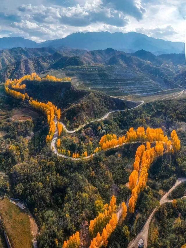The Qinling Mountains in painted splendor｜秦岭彩叶大赏，美到“巅峰”