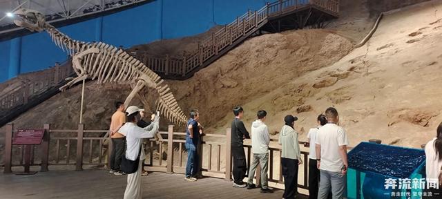 一部手机游甘肃丨刘家峡恐龙馆：传承创新中续写古生物文化传播新篇章