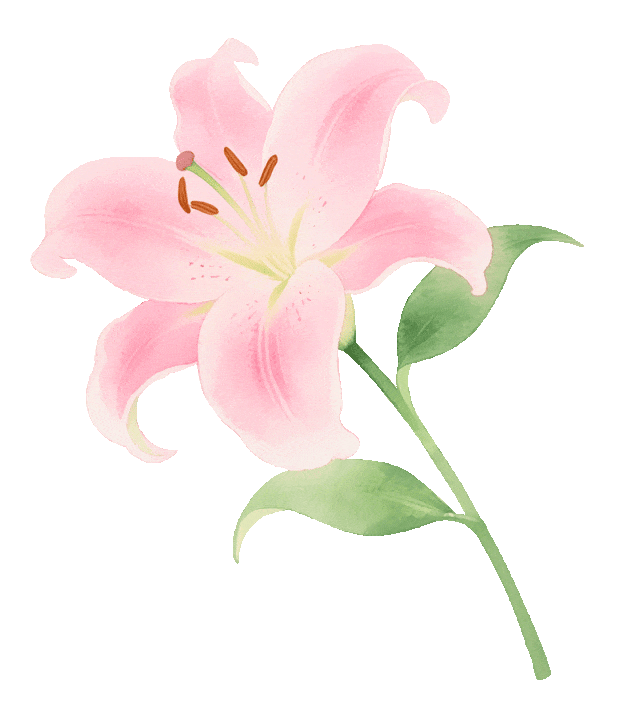 所有女性免票7天！知名景区宣布