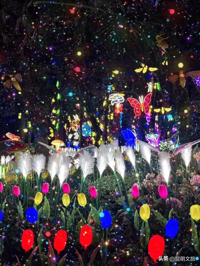 世博园大型灯展！最新剧透来啦