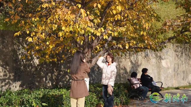 武都公园：冬阳正好，韵意正浓