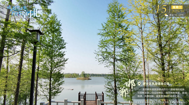 这么近 那么美 周末到河北 | 邯郸 · 肥乡区凤湖湿地公园