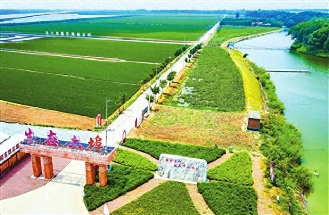 西青区辛口镇第六埠村生态六埠景区风光秀丽景色宜人