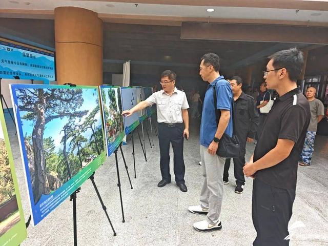 科普展览、救助凤头鹰放飞……全国生态日泰山景区举办多样活动