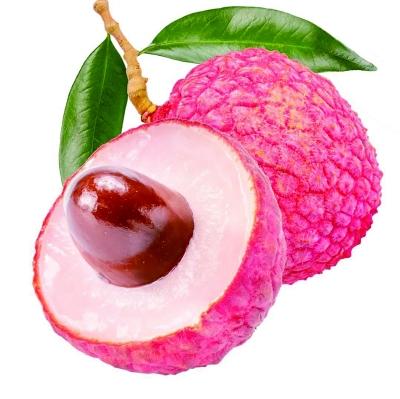 《长安的荔枝》带火阳江“夏日荔枝游”