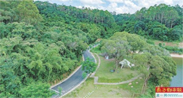 最美旅游公路带火乡村，游客增三成