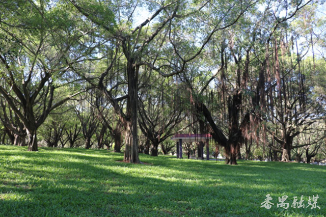 番禺区旧水坑榕树公园变身科普教育新阵地