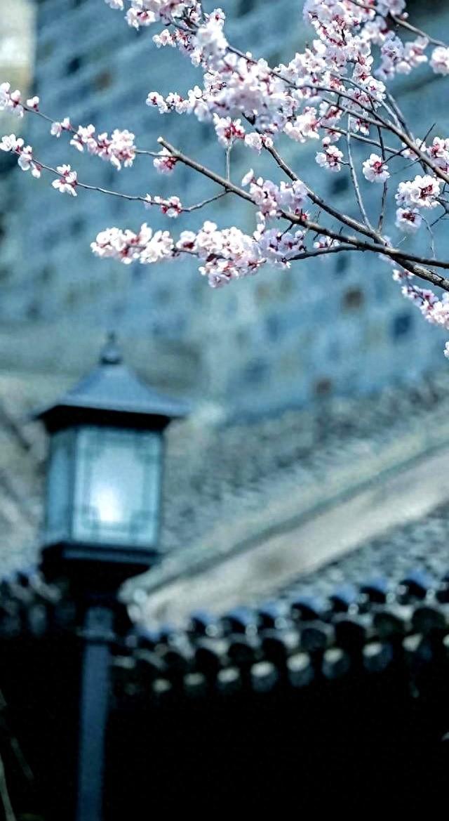 格局就是看不见别人的坏，境界就是看得见别人的好