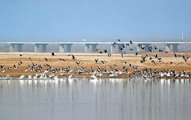 2025年12月1日 渭南文化旅游资讯微报（组图）