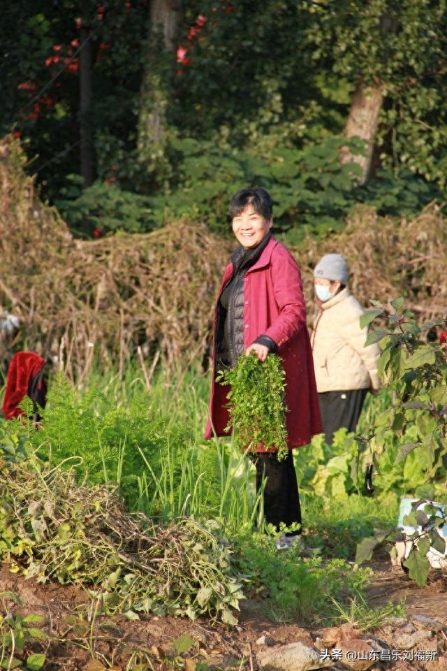 2025年10月22日图片日记(下)