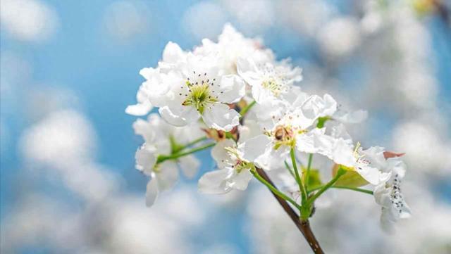 老伴退休选择离婚，隔天跟外面女人领证，5年后卧床身边空无一人