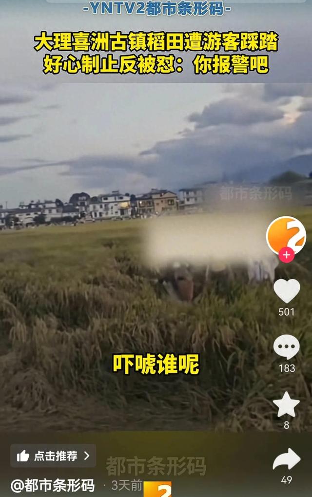骑马闯廊道、踩踏稻田拍照……此等“快乐”莫要建立在痛苦之上