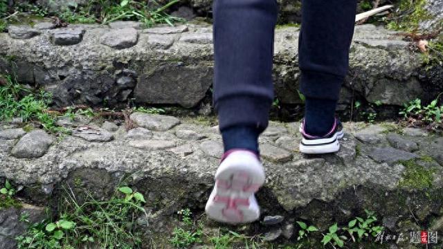 20岁女孩徒步后昏迷进ICU！暗访徒步招募平台，“专业领队”竟然都是兼职