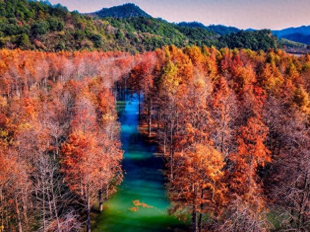 不藏了，安徽5个秋色仙境，最后一个让摄影师都舍不得离开！