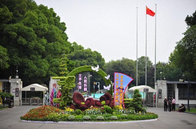 抢先打卡！东湖梨园菊香漫，秋日盛宴引客至