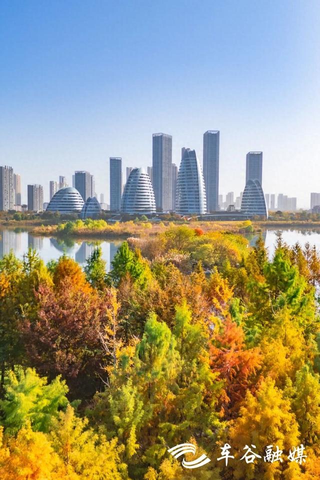 橙黄橘绿时 武汉经开区斑斓如画