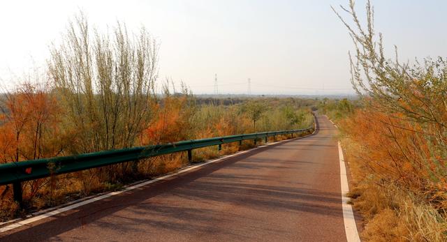 组图丨古浪县八步沙：人与自然的治沙画卷