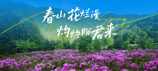 本溪国庆首日文旅活动“火力全开”，邀你共赴“国枫”盛宴