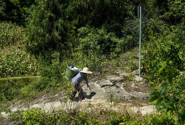 新华全媒+·诗意中国丨荔枝驿路蜀道不再难