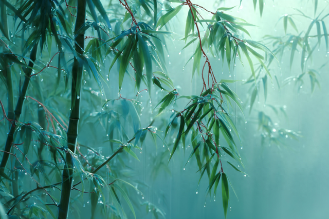 没有独立的财富，是一种特殊形式的贫困