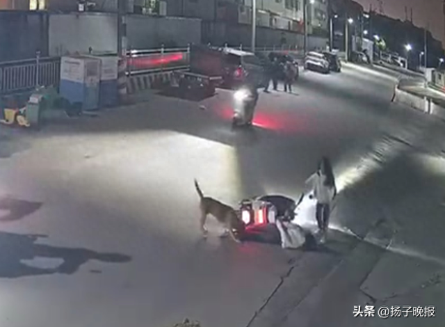 汕头两女子遭未拴绳恶狗袭击追咬，外卖小哥和多名路人挺身而出	，官方通报：肇事犬只主人已被拘留