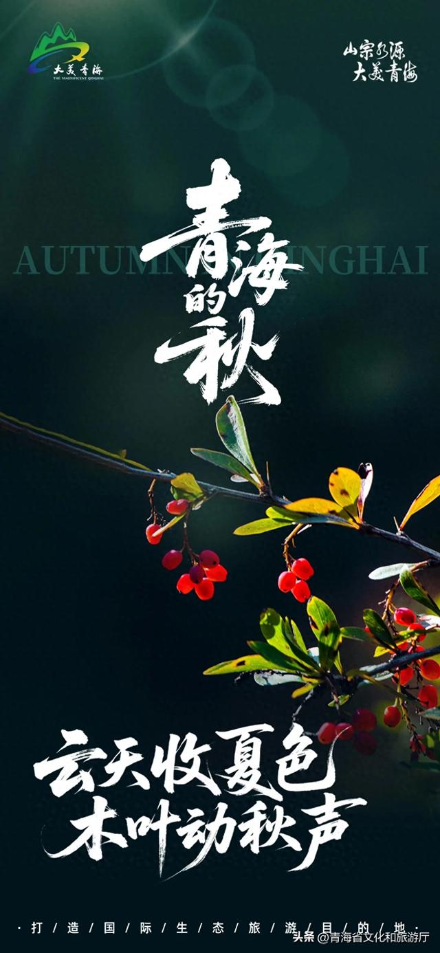 秋日青海 | 云天收夏色 木叶动秋声