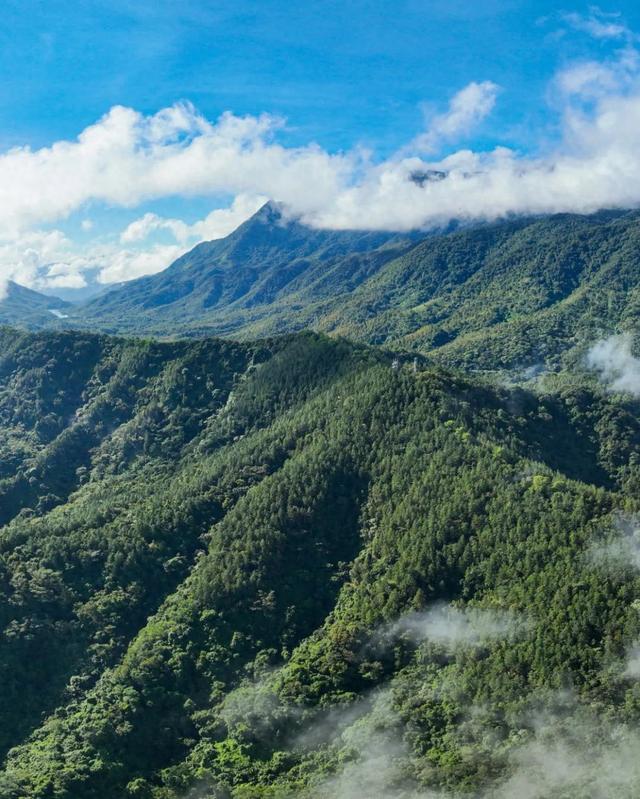 图观白沙 | 白沙山城的绿意秘境