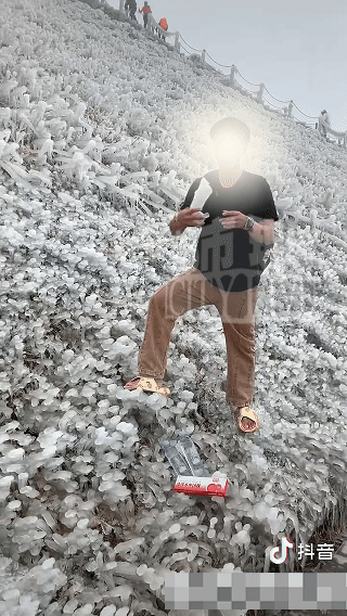 广东刮台风，武功山下大雪？记者核实了，假的！
