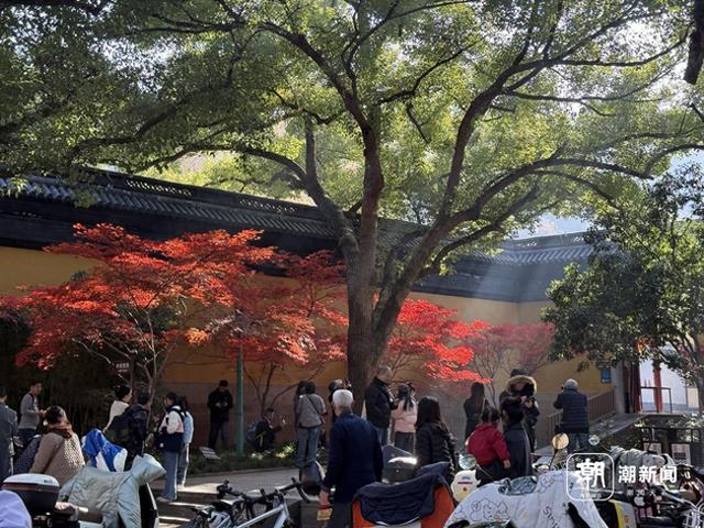 枫景这边正好，西湖的浪漫刷屏了