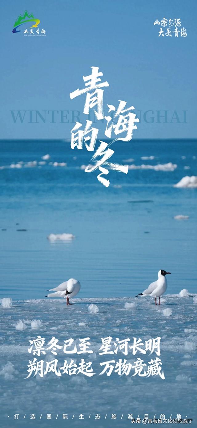 青海冬韵 | 凛冬已至 星河长明 朔风始起 万物竞藏
