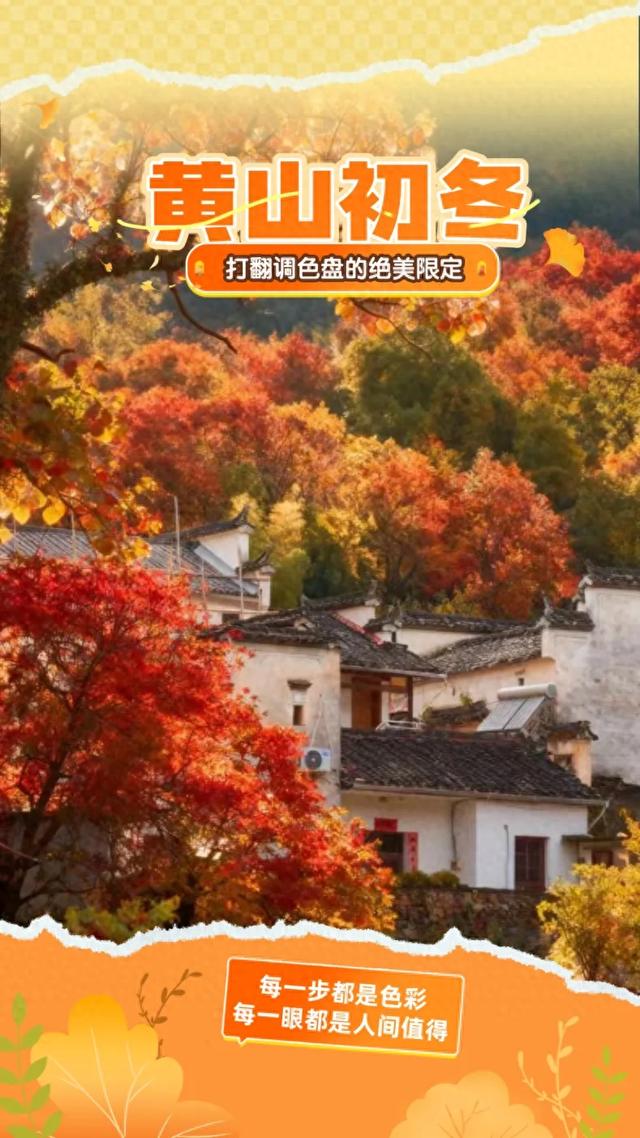 黄山初冬，打翻调色盘的绝美限定 | 皖美冬日