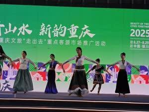 山水与大漠对话 巴渝与西夏共鸣！四地文旅专场推介会在银川启幕