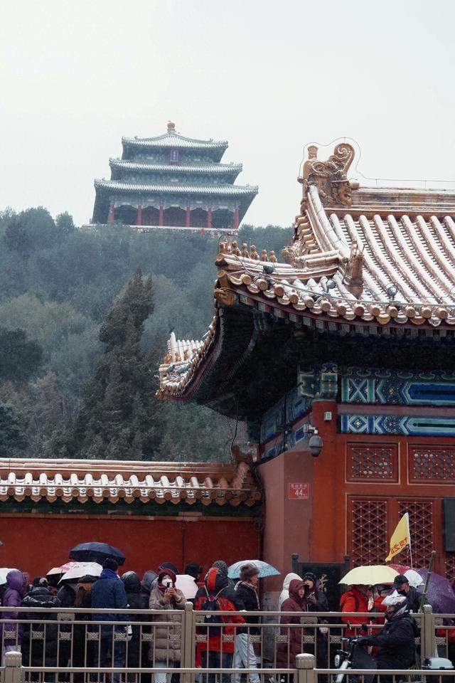 北京初雪，在景山之巅与故宫静默相望