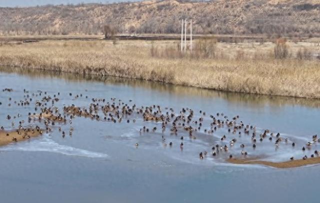 人这一辈子，一定要去一趟榆林！
