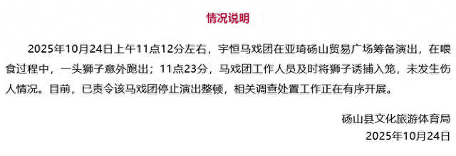 狮子在道路绿化带狂奔？安徽砀山通报：马戏团意外跑出，责令停演整顿
