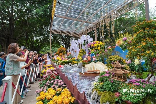 福州西湖公园金秋菊展 3天迎客18万人次