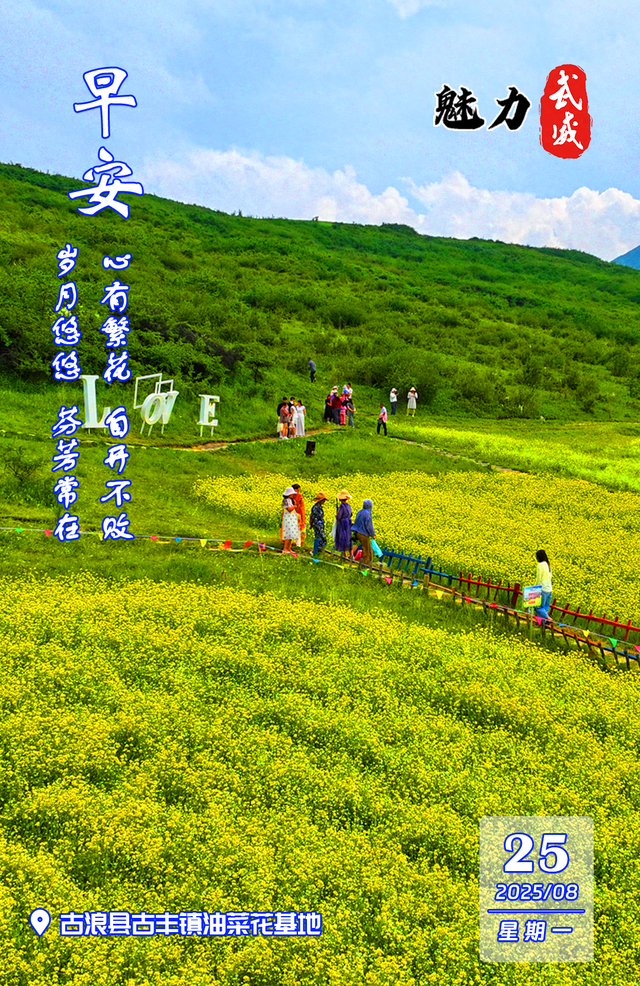 魅力武威丨古浪县古丰镇油菜花基地