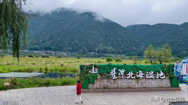 每日一景|云南腾冲北海湿地风景区