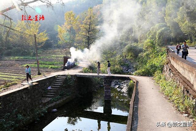古桥、古村，银杏黄、芦苇荡，宁波城郊居然有这么美的赏秋地