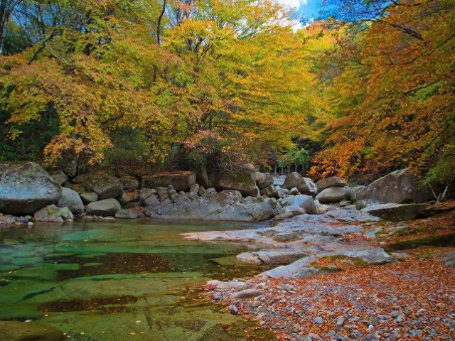 免票！5折！2025秋假大礼包特惠来啦！多重惊喜等你解锁→