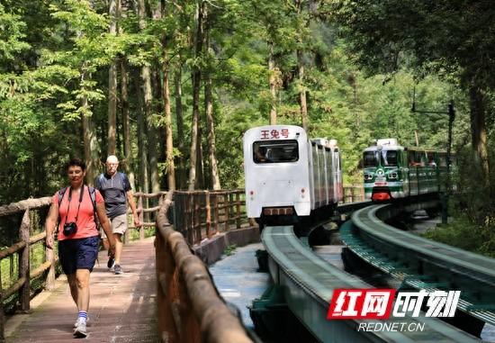 张家界国家森林公园：十里画廊观光电车百万礼品请您寻宝