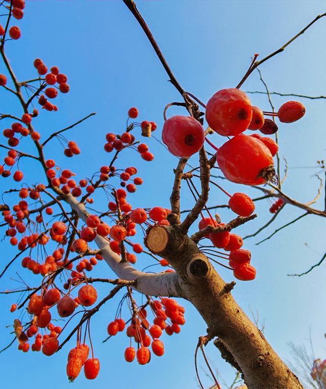 旧时光里的温暖	，是奶奶的土药方