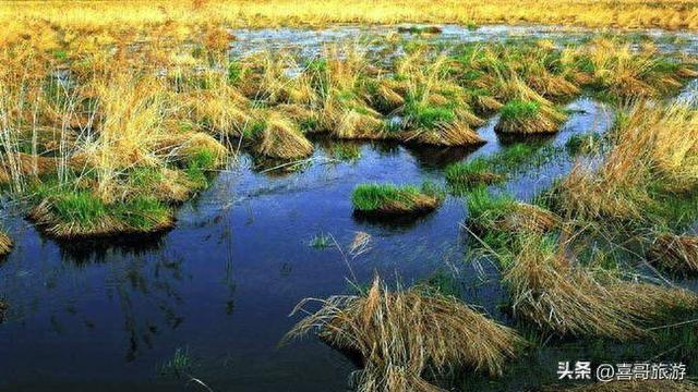 探秘北国瑰宝：鸡西东方红湿地旅游区全攻略