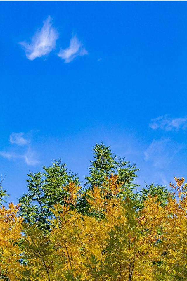 秋高气爽赏滨城丨泰达城市公园的深秋画意