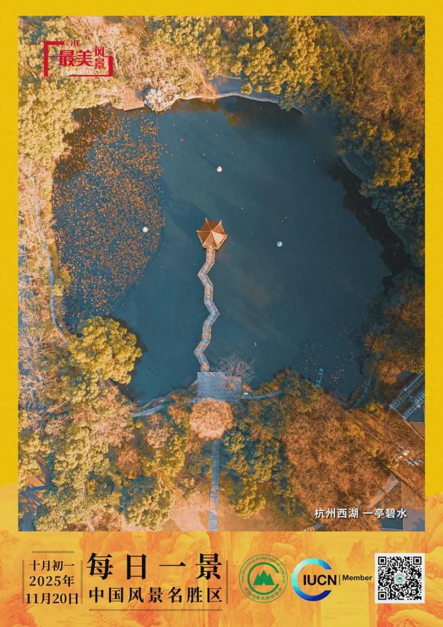 每日一景 | 杭州西湖 一亭碧水