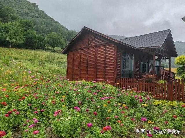 文县：白马藏乡花如海避暑秘境等你来