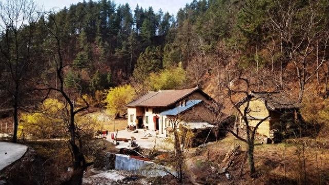 陈仓：文学小屋