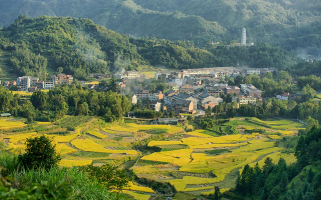 温州这个温泉度假区要来了！